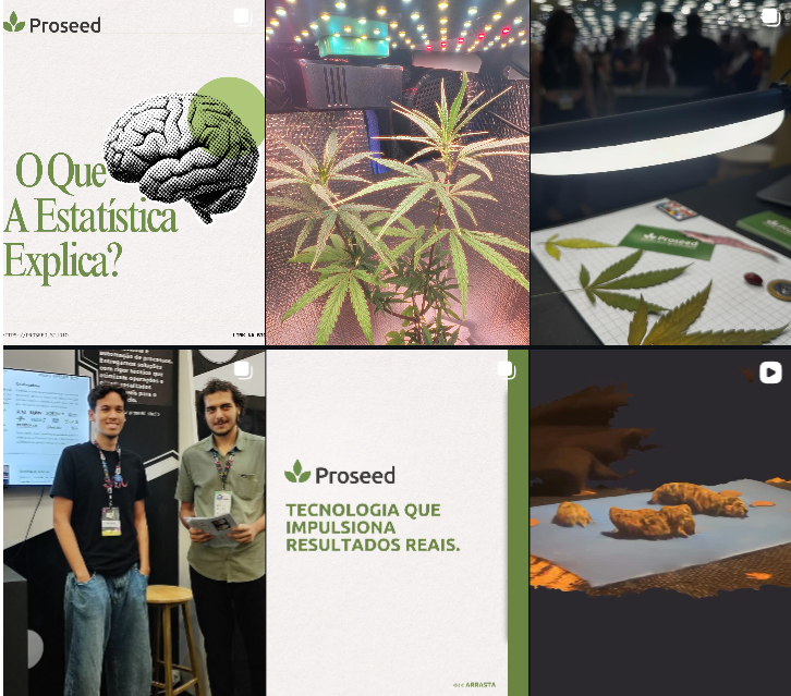 Redes sociais Proseed