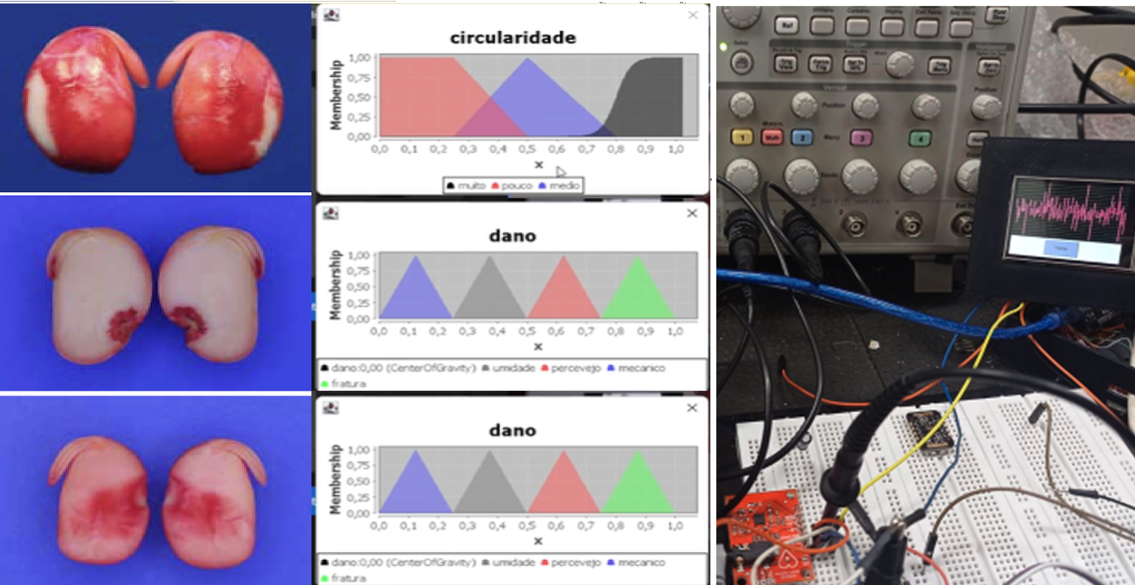 Proseed Framework: Arquitetura de Visão Distribuída
