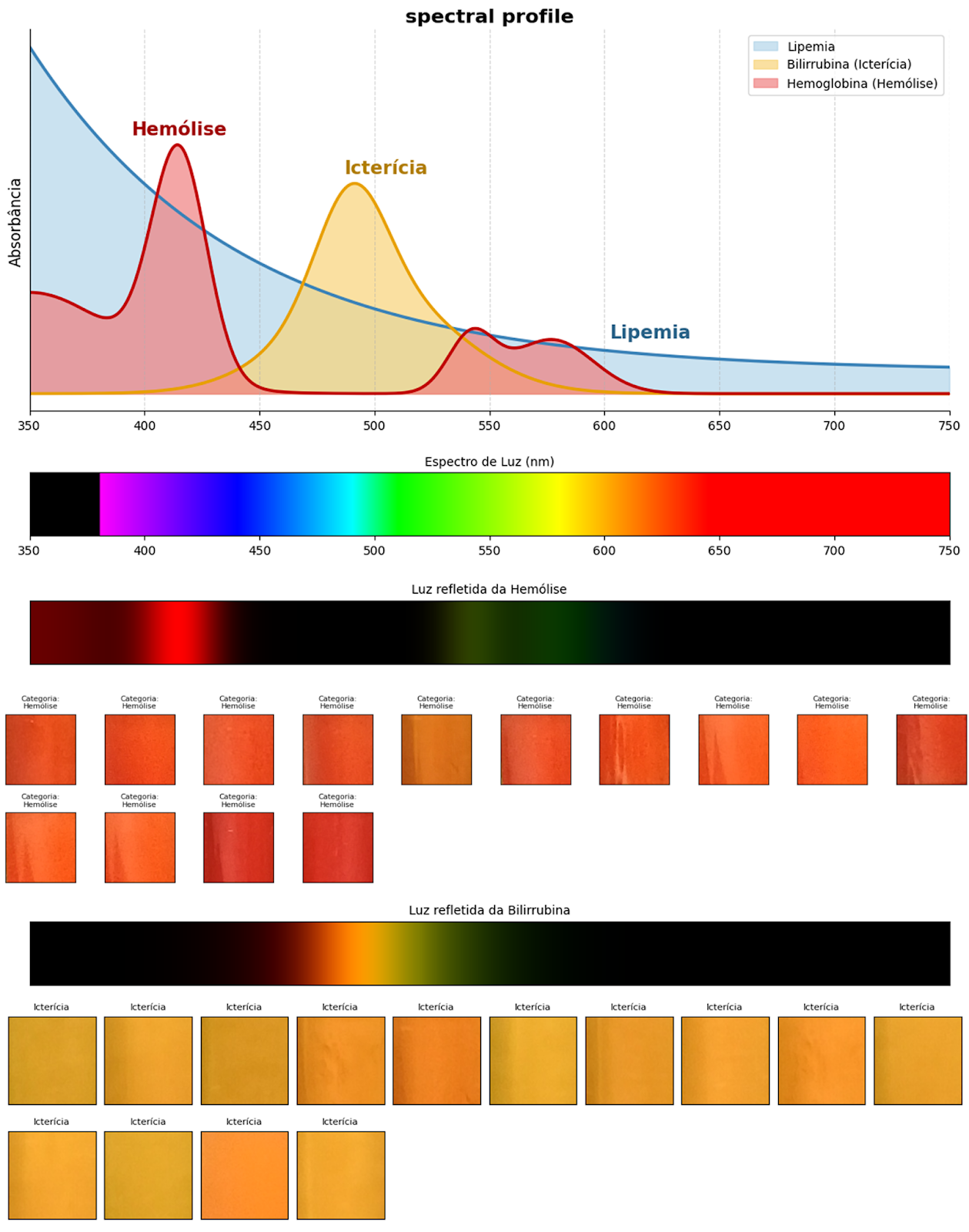 Potimarket: Ecossistema de E-commerce